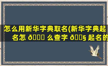 怎么用新华字典取名(新华字典起名怎 🐋 么查字 🐧 起名的)